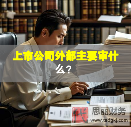 上市公司外部主要审什么？