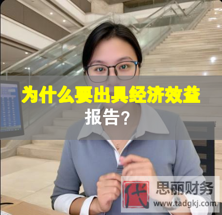 为什么要出具经济效益报告？