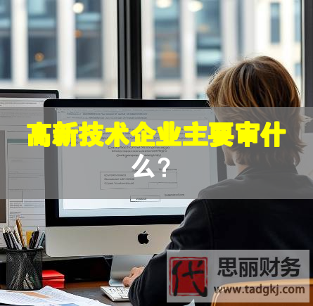 高新技术企业主要审什么？