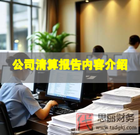 公司清算报告内容介绍