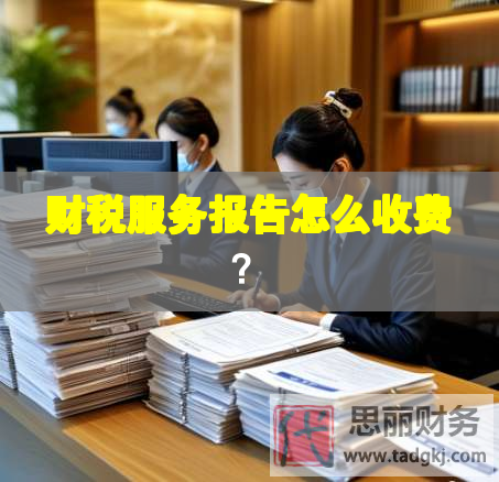 财税服务报告怎么收费？