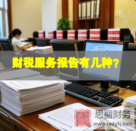 财税服务报告有几种？
