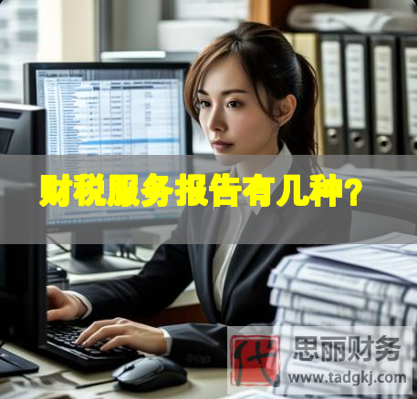 财税服务报告有几种？