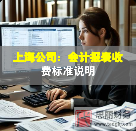 上海公司：会计报表收费标准说明
