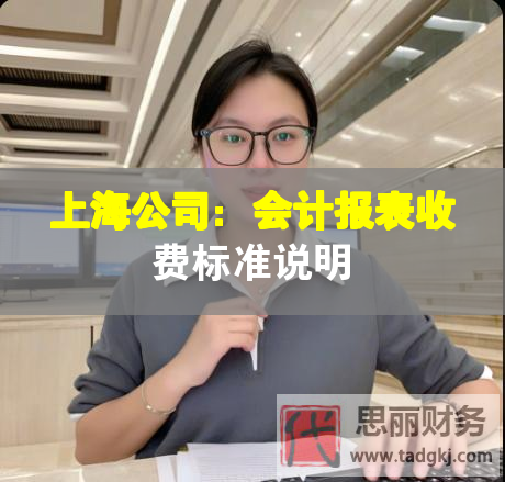 上海公司：会计报表收费标准说明