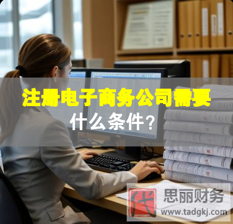 注册电子商务公司需要什么条件？