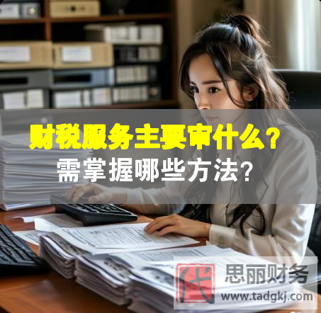 财税服务主要审什么？需掌握哪些方法？