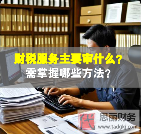 财税服务主要审什么？需掌握哪些方法？