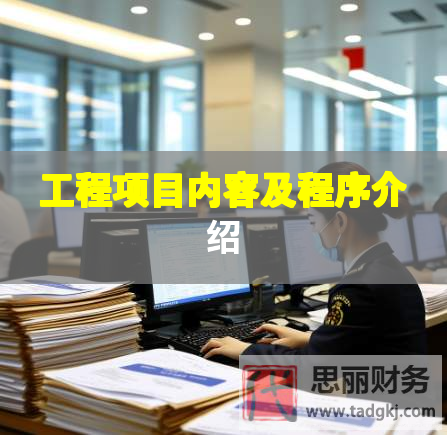 工程项目内容及程序介绍