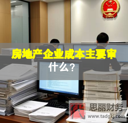 房地产企业成本主要审什么？