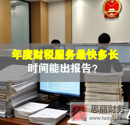 年度财税服务最快多长时间能出报告？