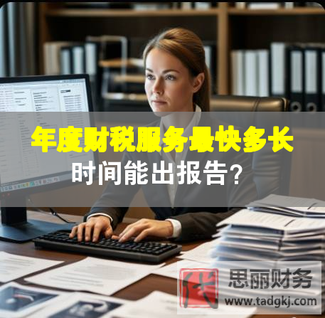 年度财税服务最快多长时间能出报告？